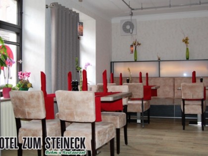 照片: Hotel zum Steineck