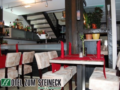 照片: Hotel zum Steineck